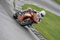 Advanced Group Orange Bikes